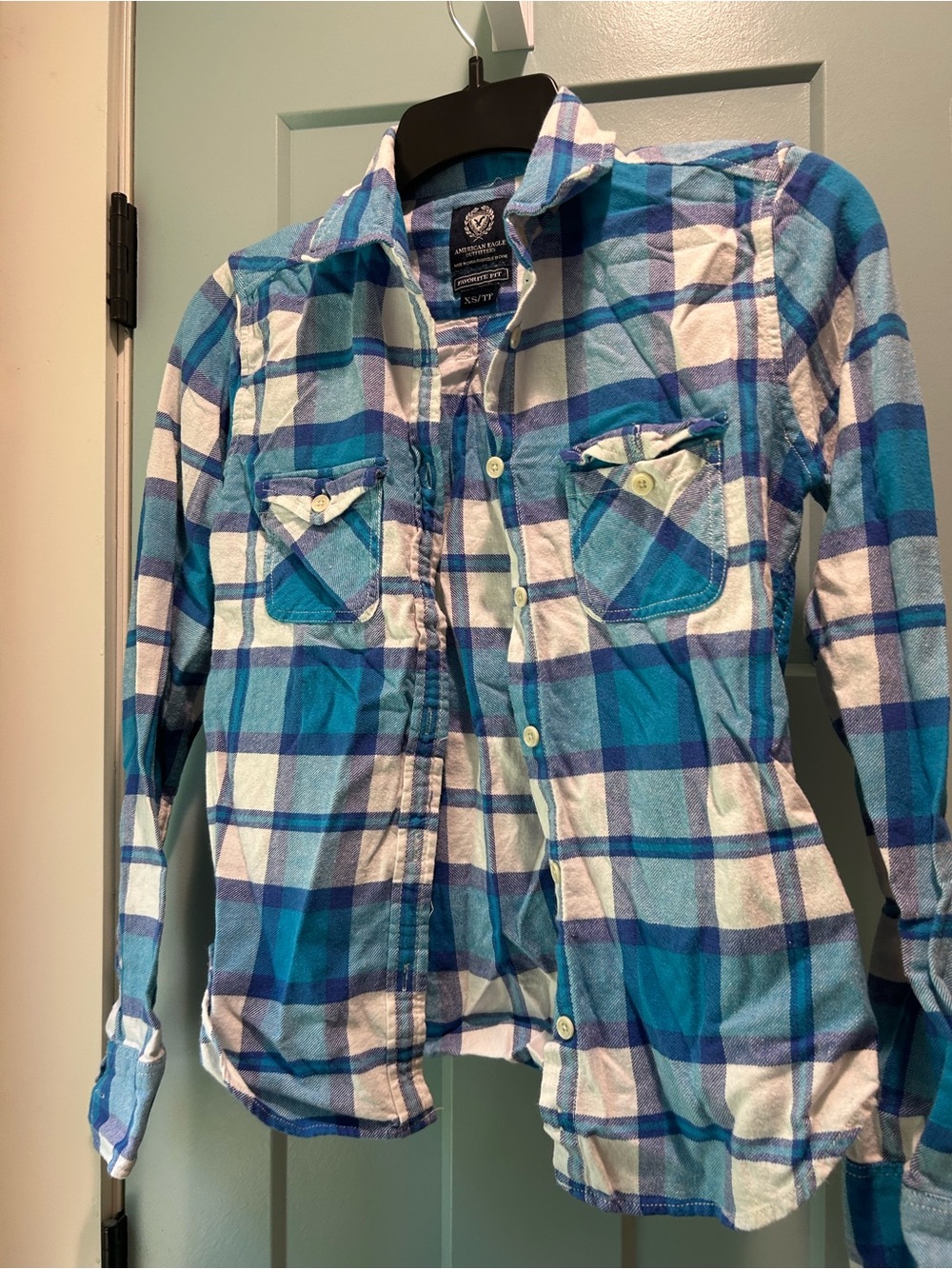 American Eagle Outfitters Blue & White Plaid Button-Down Shirt
